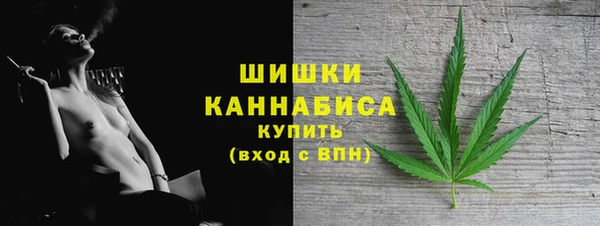 сатива Беломорск