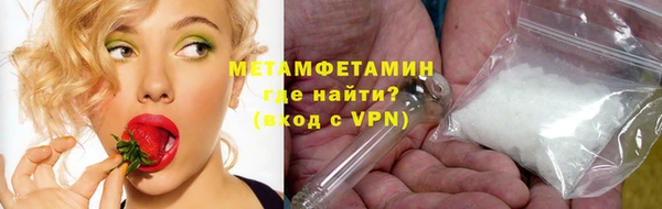 сатива Беломорск