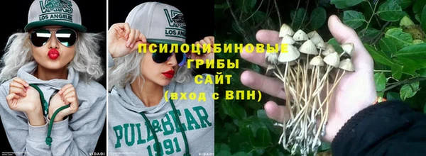 сатива Беломорск