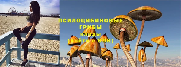 прущие крисы Балабаново